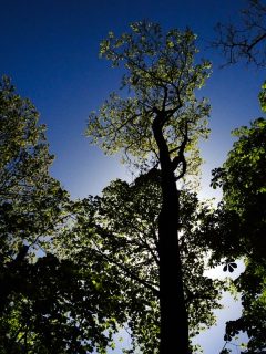© patrick-reinig.com