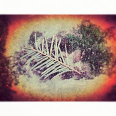 Patrick Reinig Instagraphie ©patrick-reinig.com