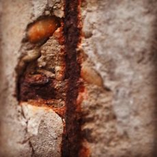 Patrick Reinig Instagraphie ©patrick-reinig.com
