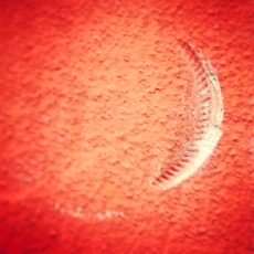 Patrick Reinig Instagraphie ©patrick-reinig.com