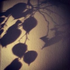 Patrick Reinig Instagraphie ©patrick-reinig.com